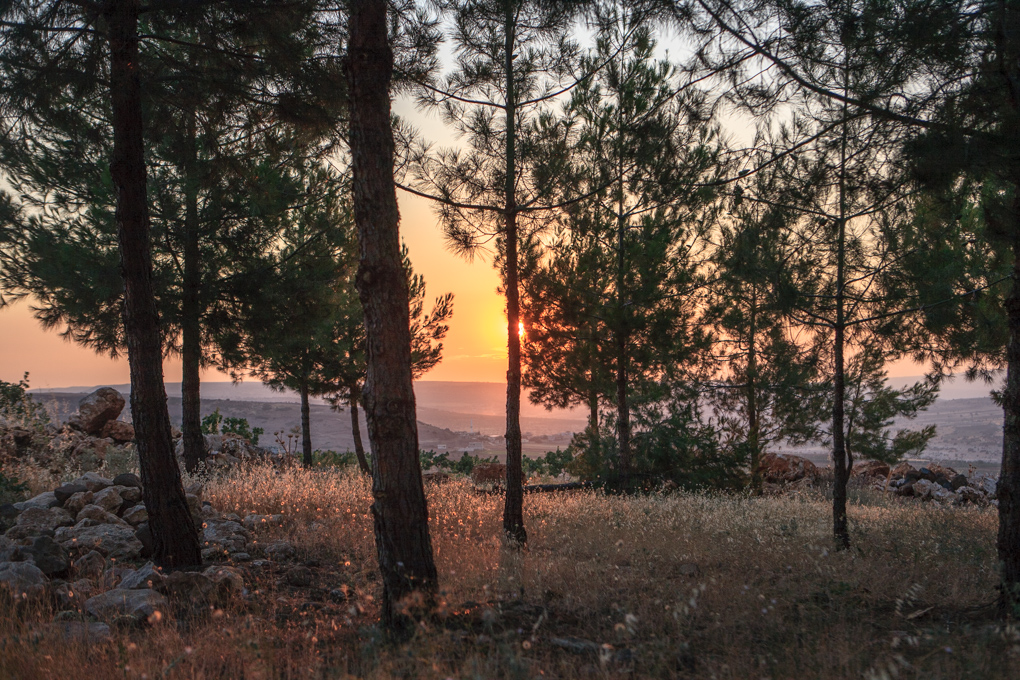Gaziantep